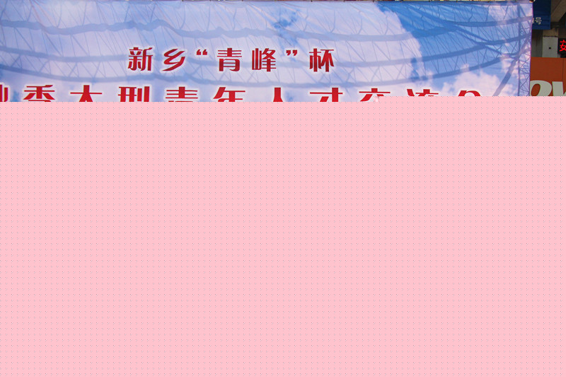 “青峰”杯秋季大型青年人才交流會(huì )剪影